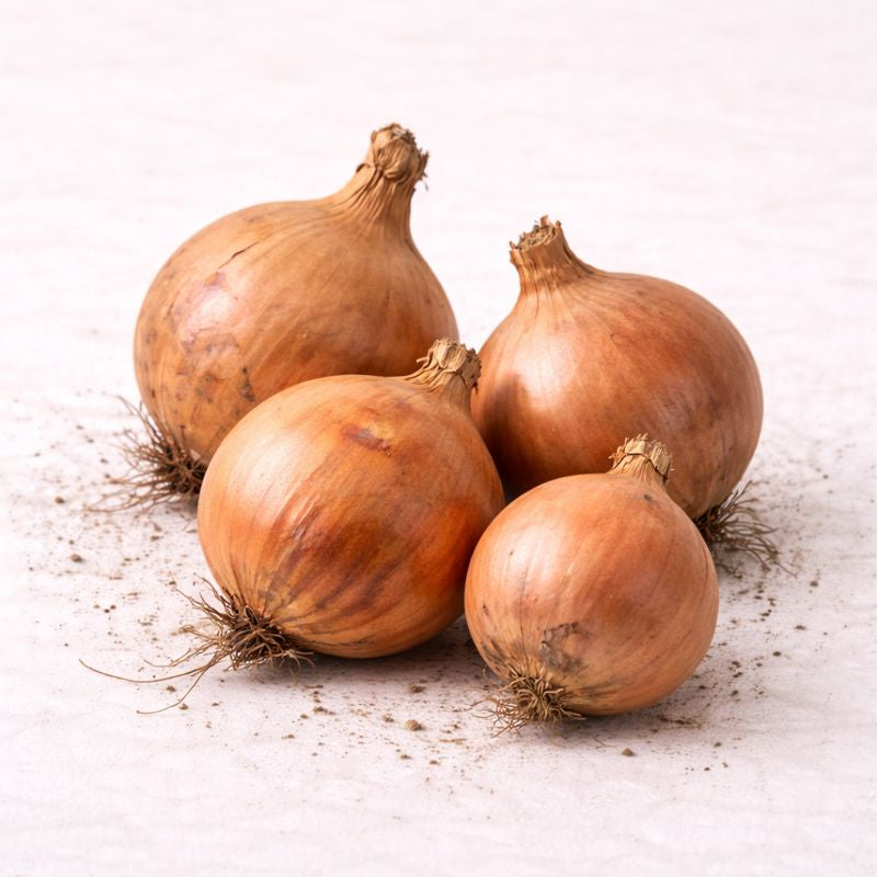 Organic Brown Onion - 1kg
