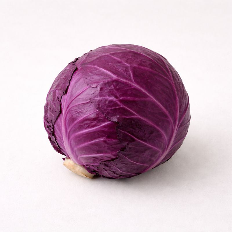 Organic Red Cabbage - Whole