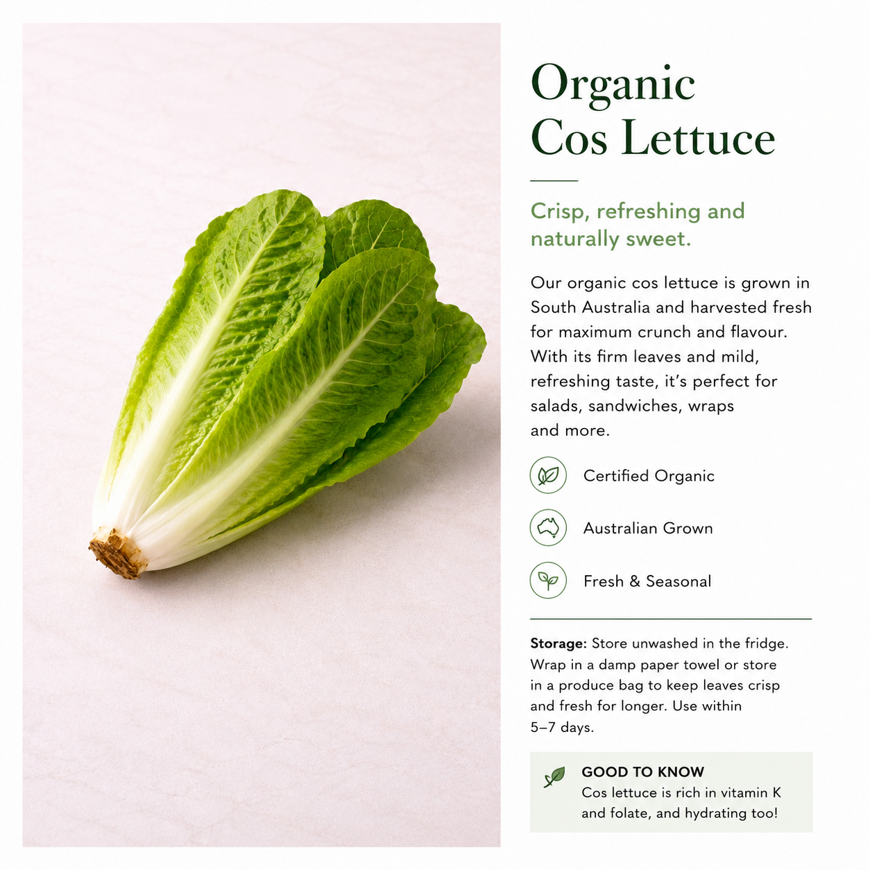 Organic Cos Lettuce