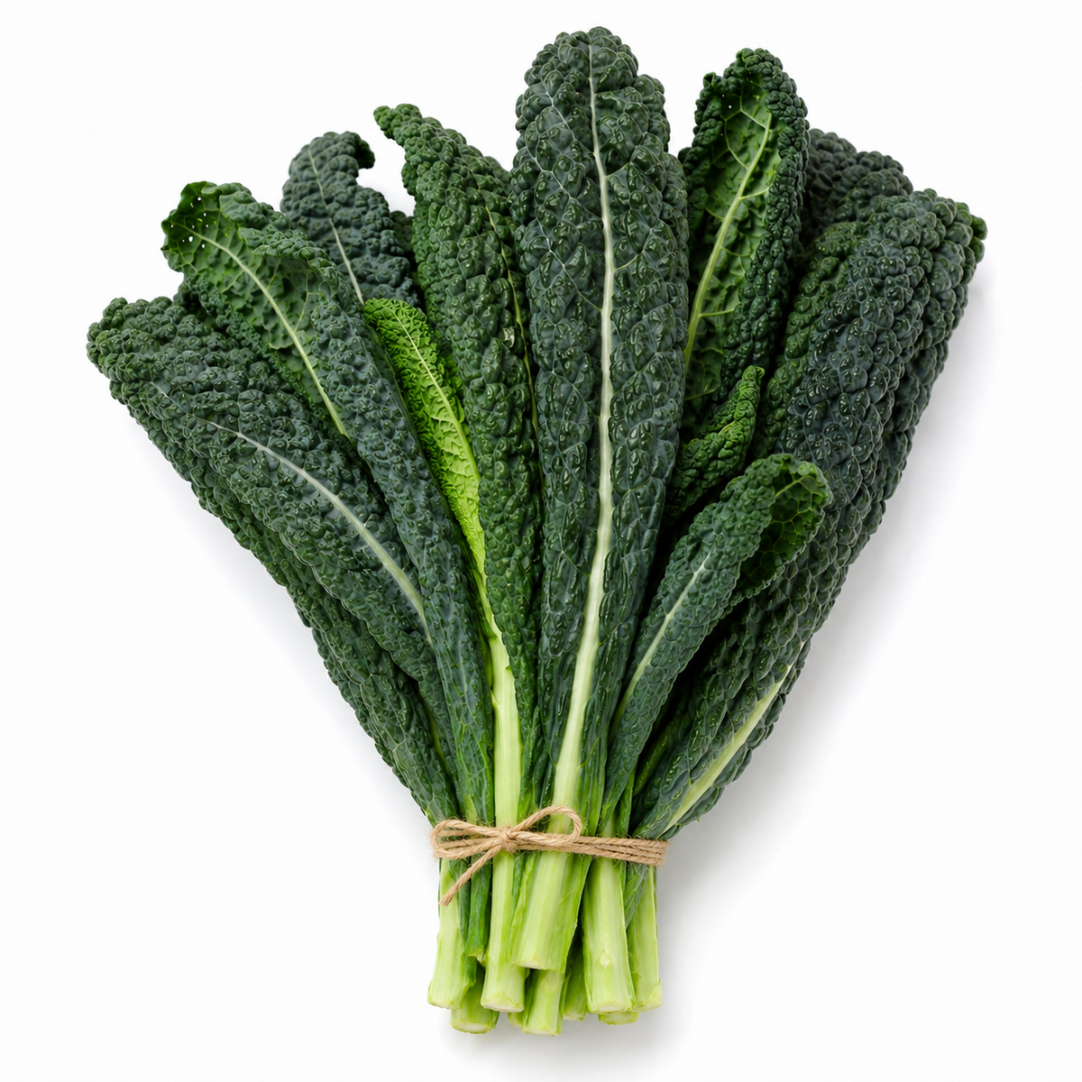 Organic Tuscan Kale