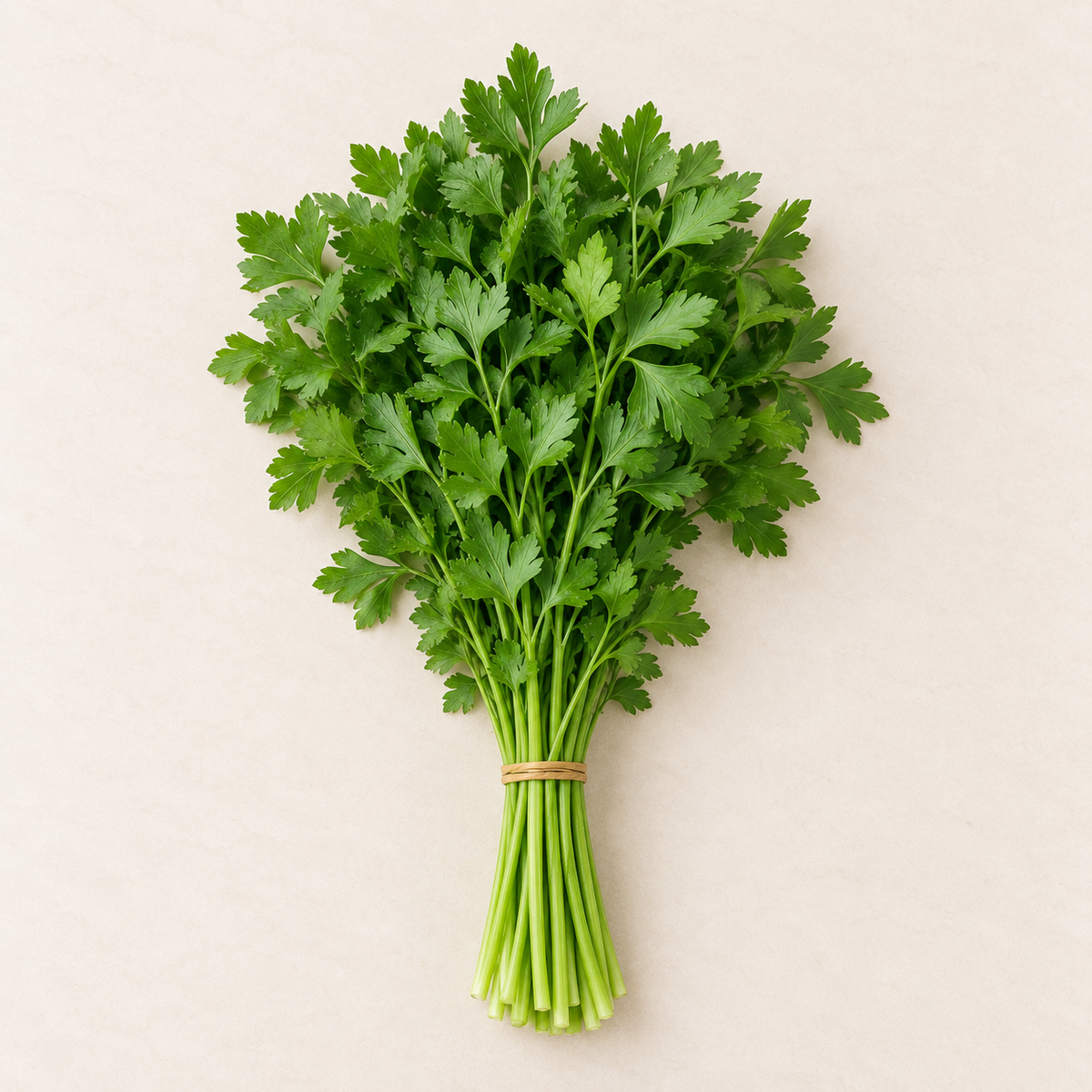 Organic Parsley Bunch