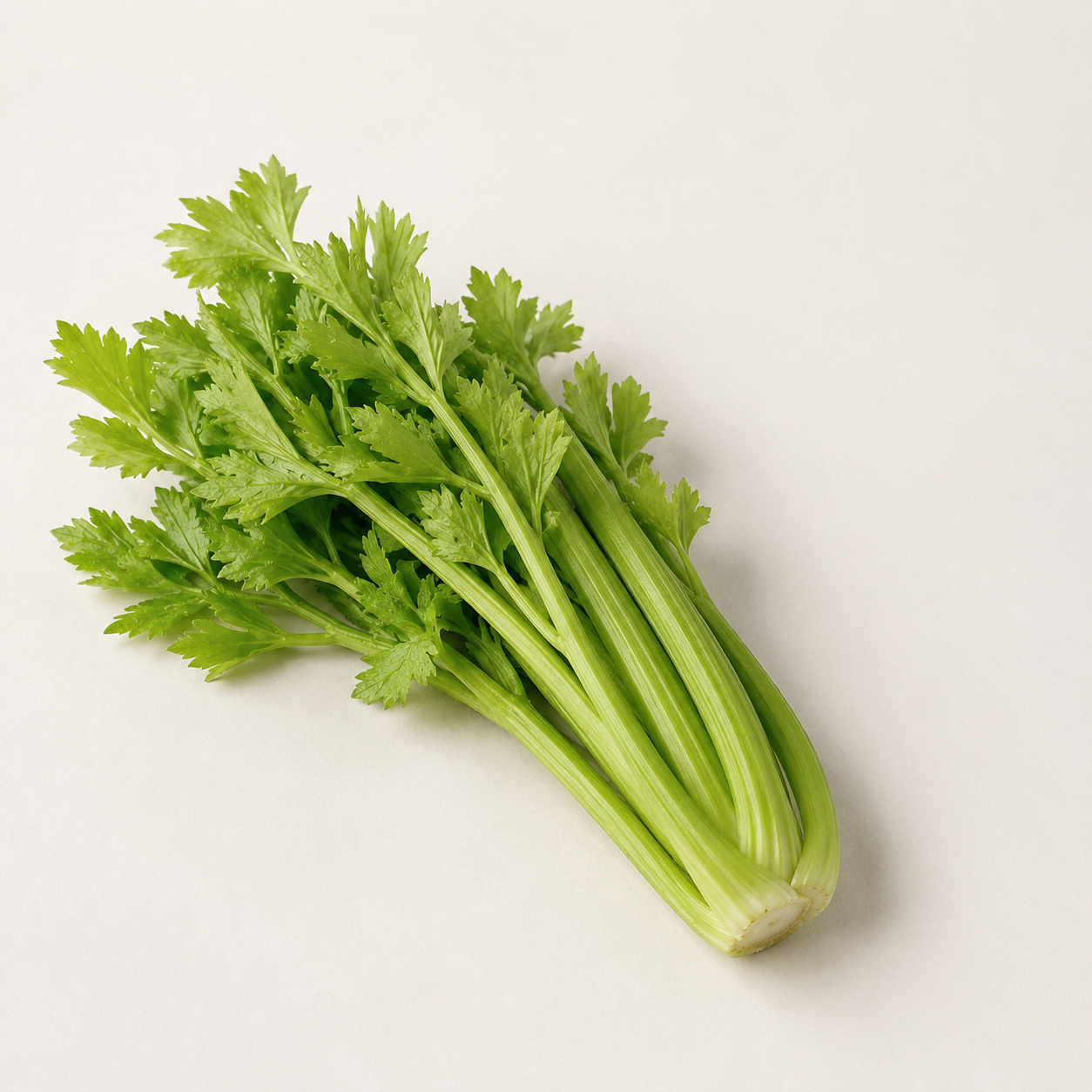 Organic Celery - Mini Bunch