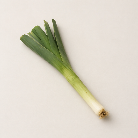 Organic Leek - Stick