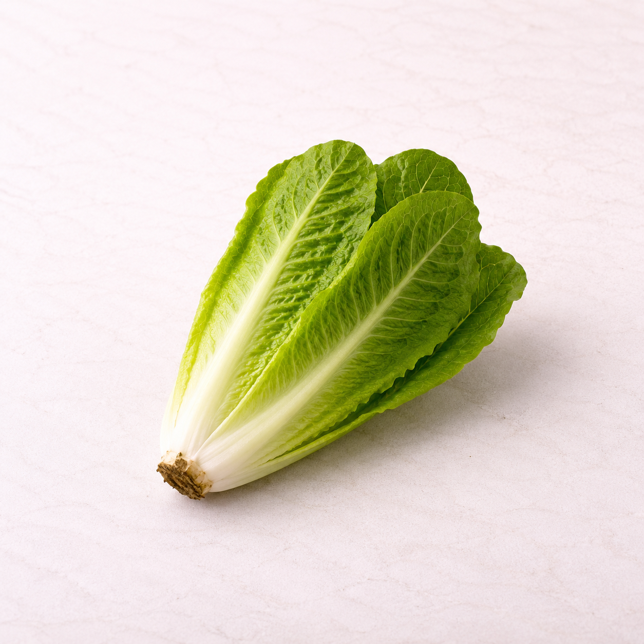 Organic Cos Lettuce