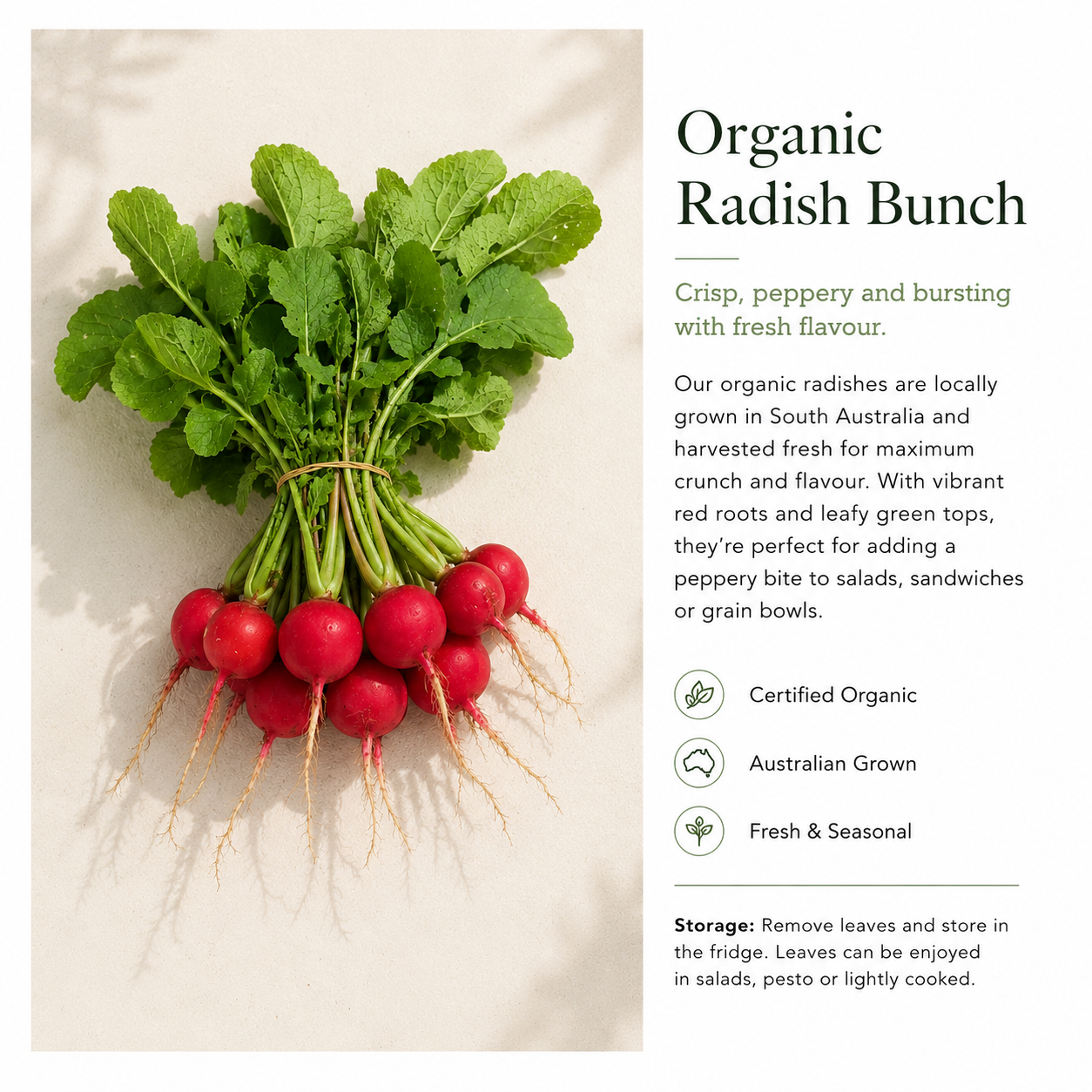Organic Radish – Bunch
