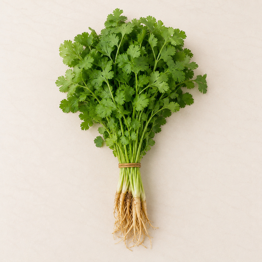 Organic Coriander Bunch