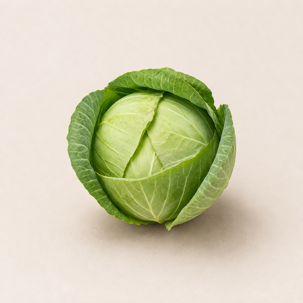 Organic Mini Cabbage - Whole