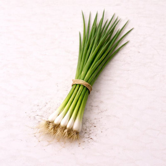 Organic Spring Onion - Bunch